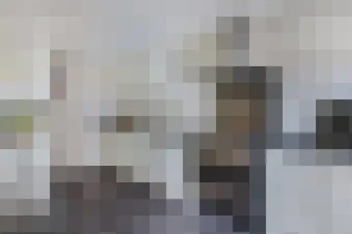 Pastorijleane 40 Tzum thumbnail 26