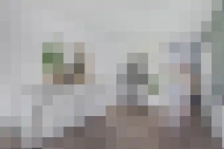 Pastorijleane 40 Tzum thumbnail 27