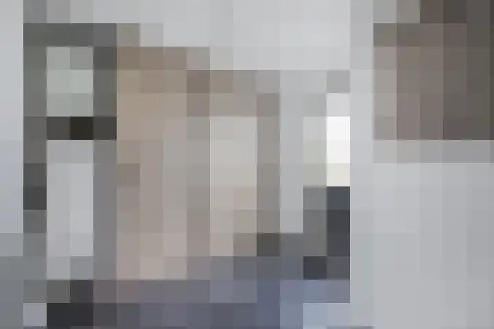 Pastorijleane 40 Tzum thumbnail 28