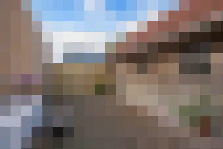 Pastorijleane 40 Tzum thumbnail 32