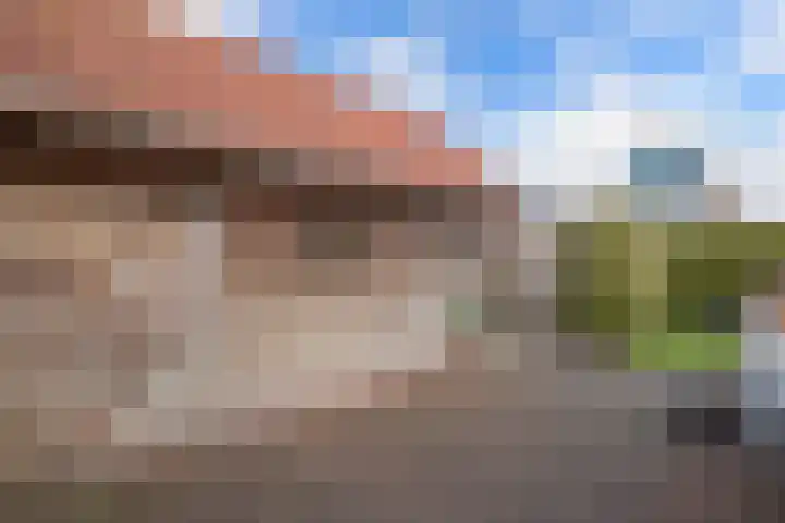 Pastorijleane 40 Tzum thumbnail 34