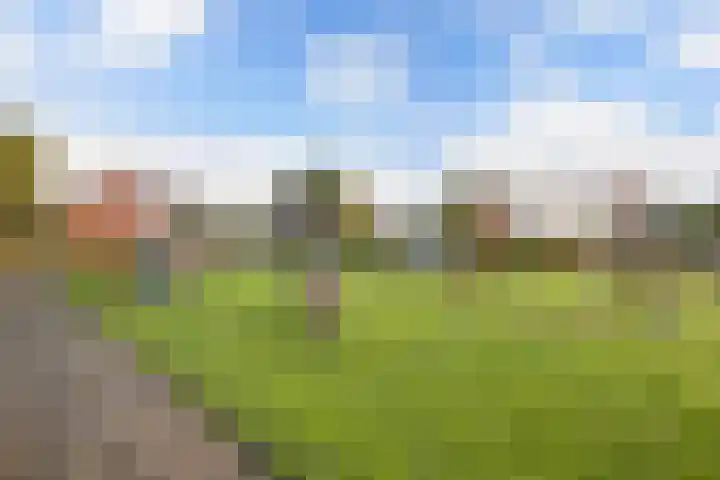 Pastorijleane 40 Tzum thumbnail 36