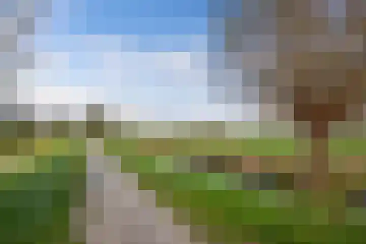 Pastorijleane 40 Tzum thumbnail 37