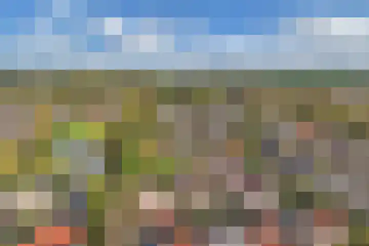 Pastorijleane 40 Tzum thumbnail 38