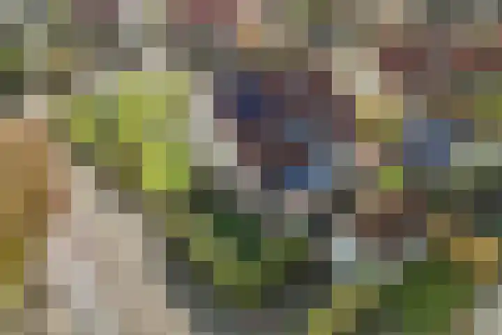 Pastorijleane 40 Tzum thumbnail 4