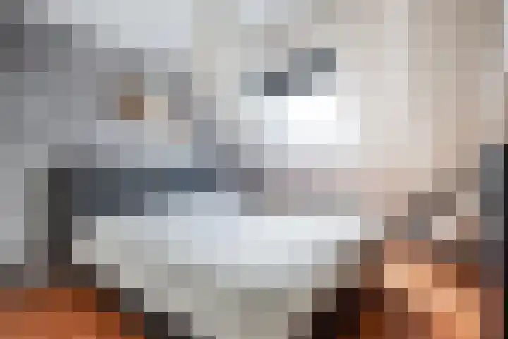 Pastorijleane 40 Tzum thumbnail 40