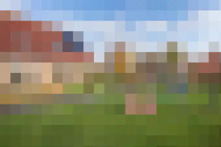 Pastorijleane 40 Tzum thumbnail 7