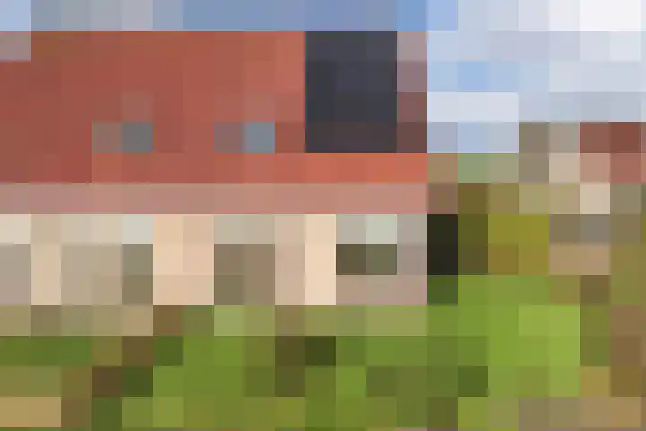 Pastorijleane 40 Tzum thumbnail 8