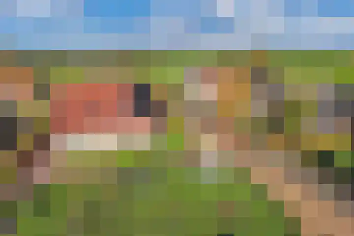 Pastorijleane 40 Tzum thumbnail 9