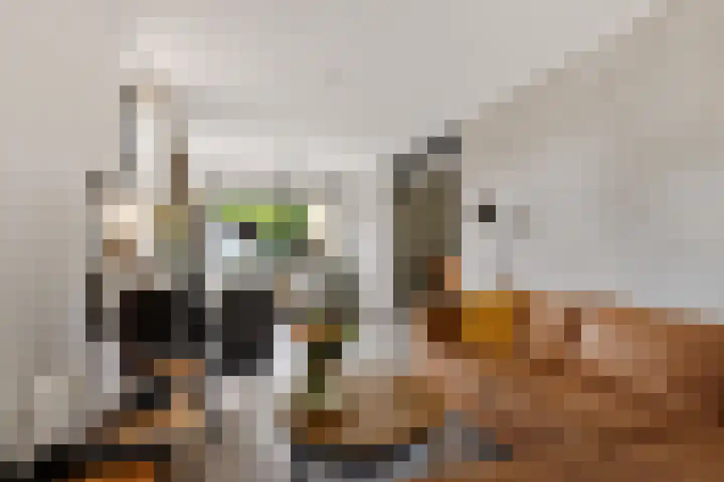 Pastorijloane 4 De Westereen thumbnail 12