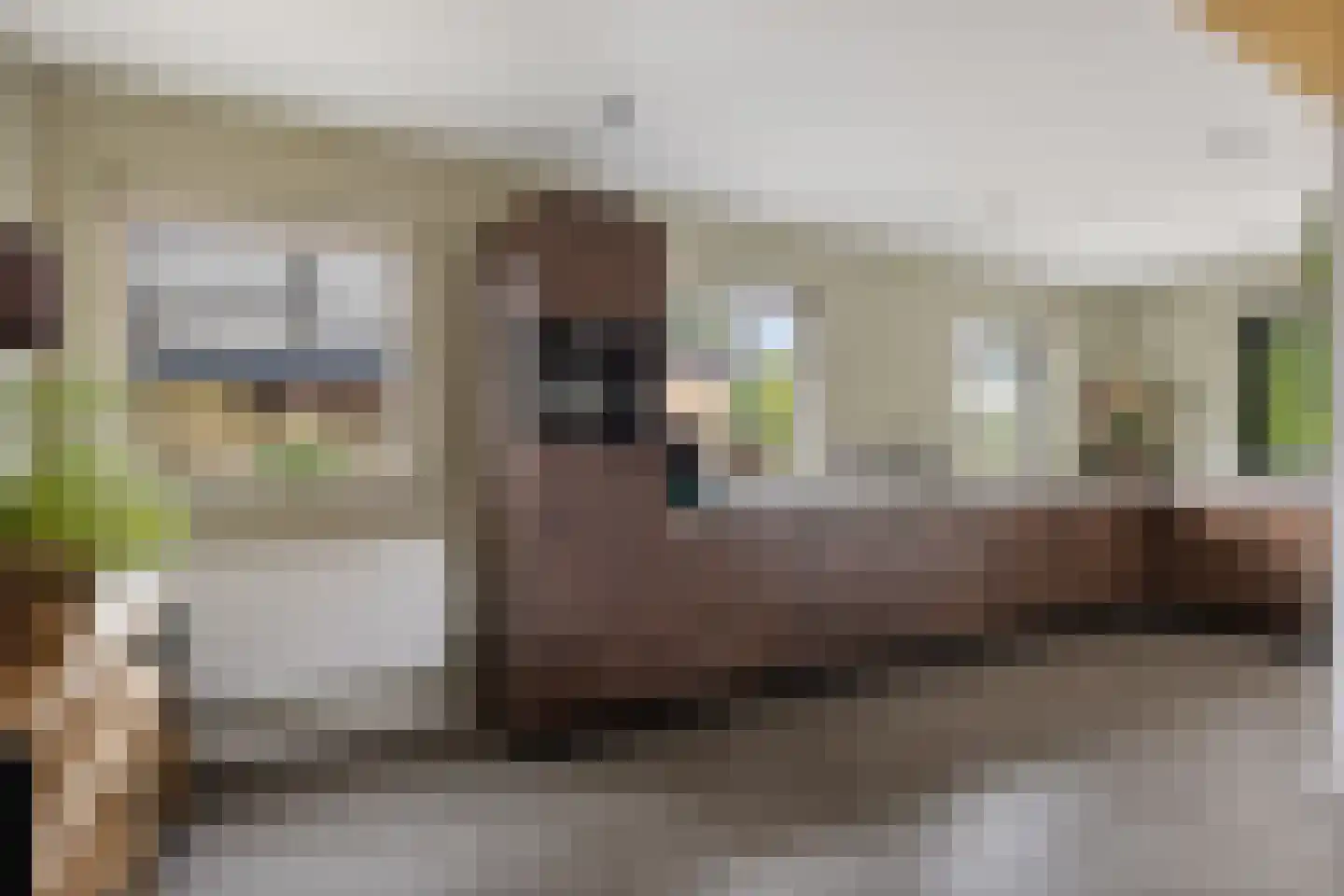 Pastorijloane 4 De Westereen thumbnail 15
