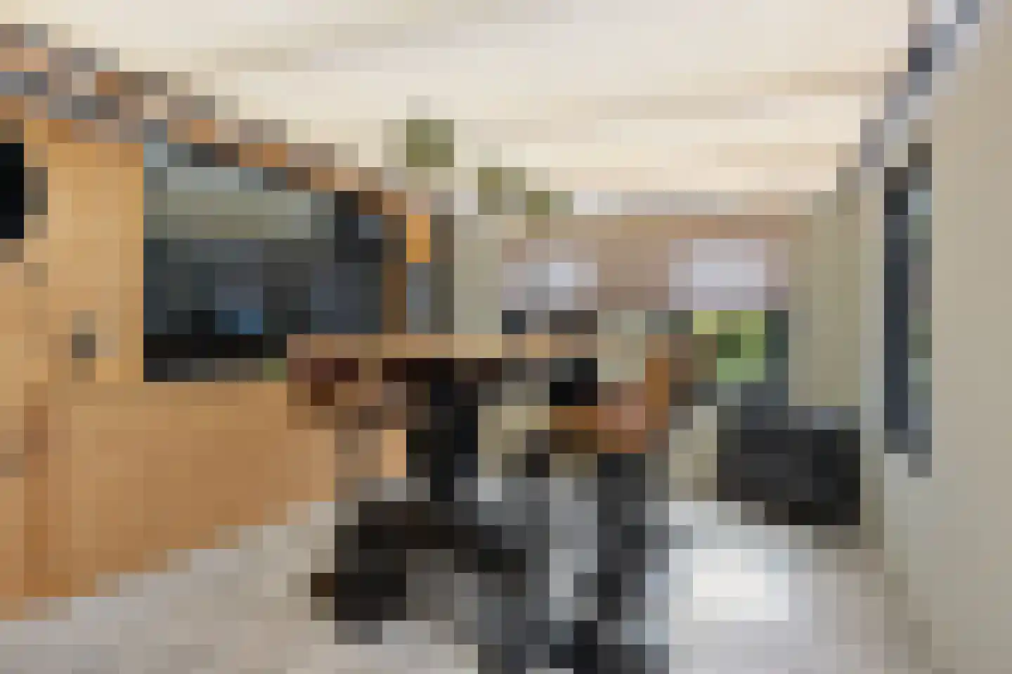 Pastorijloane 4 De Westereen thumbnail 30