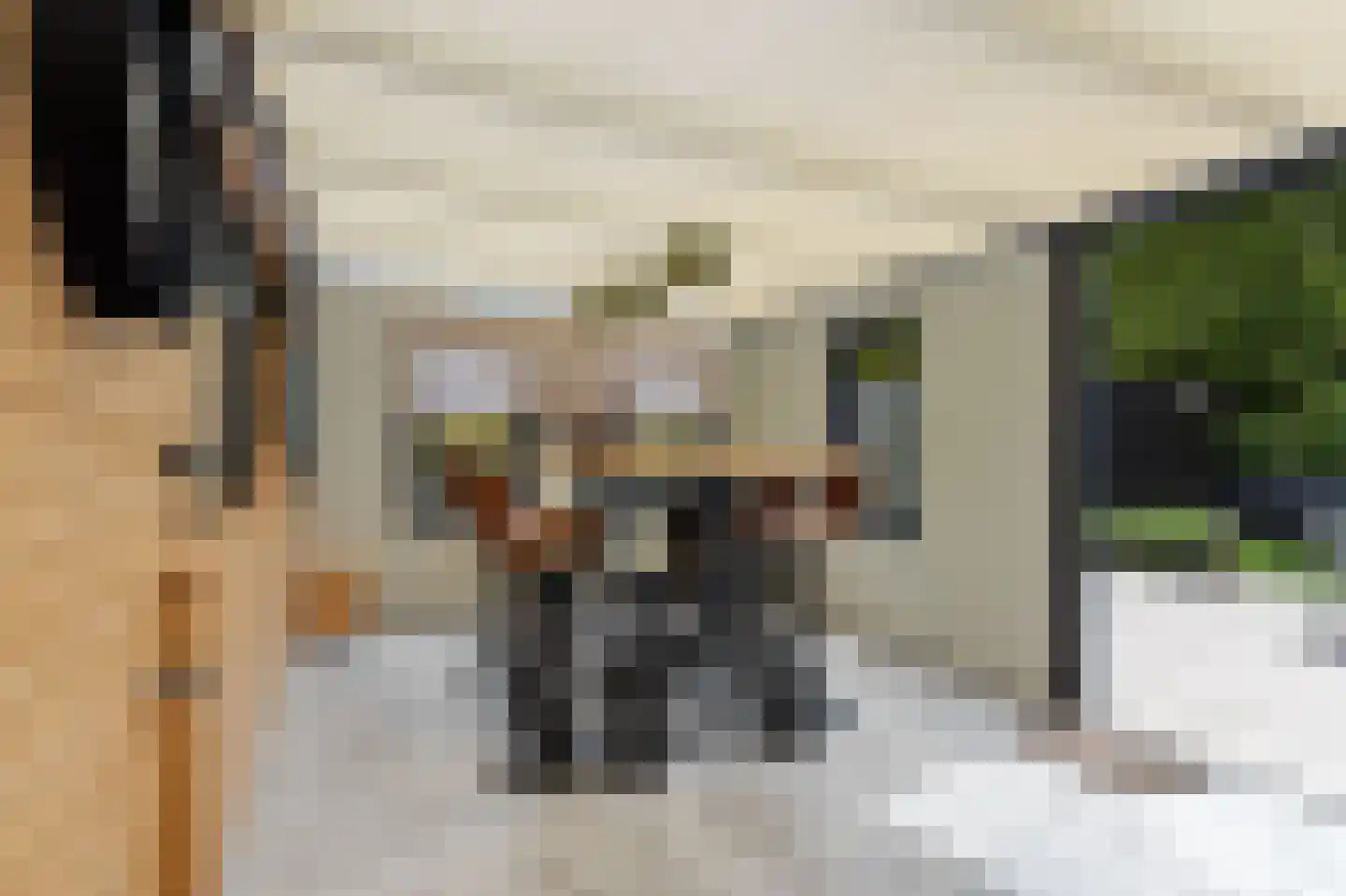 Pastorijloane 4 De Westereen thumbnail 4