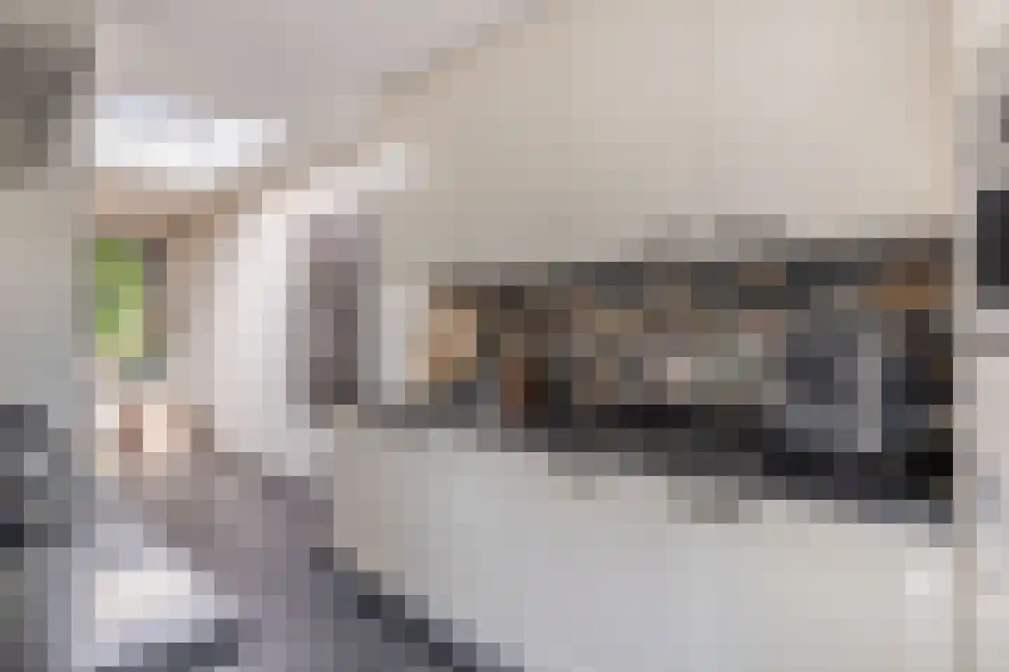 Pastorykamp 1 A Drogeham thumbnail 26