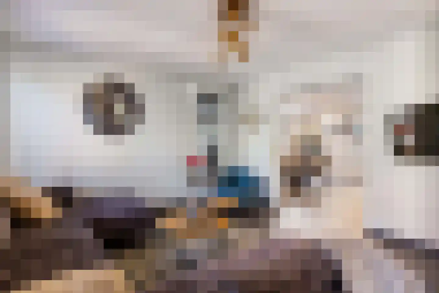 Pastorykamp 1 A Drogeham thumbnail 32