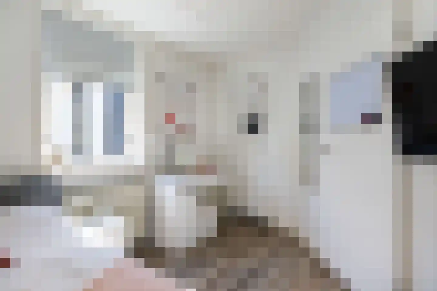 Pastorykamp 1 A Drogeham thumbnail 45