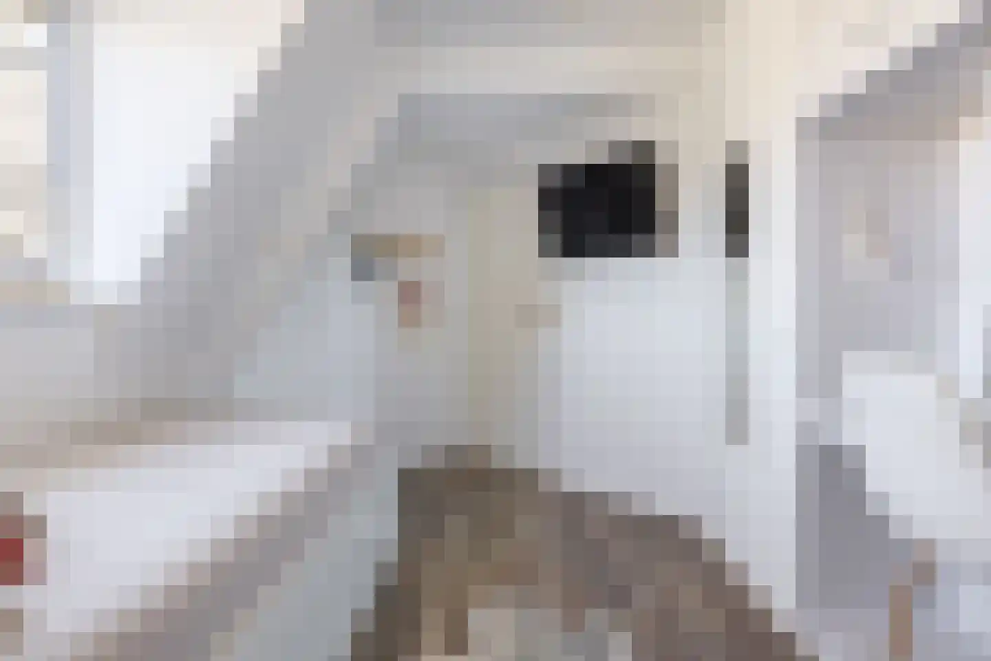 Pastorykamp 1 A Drogeham thumbnail 53