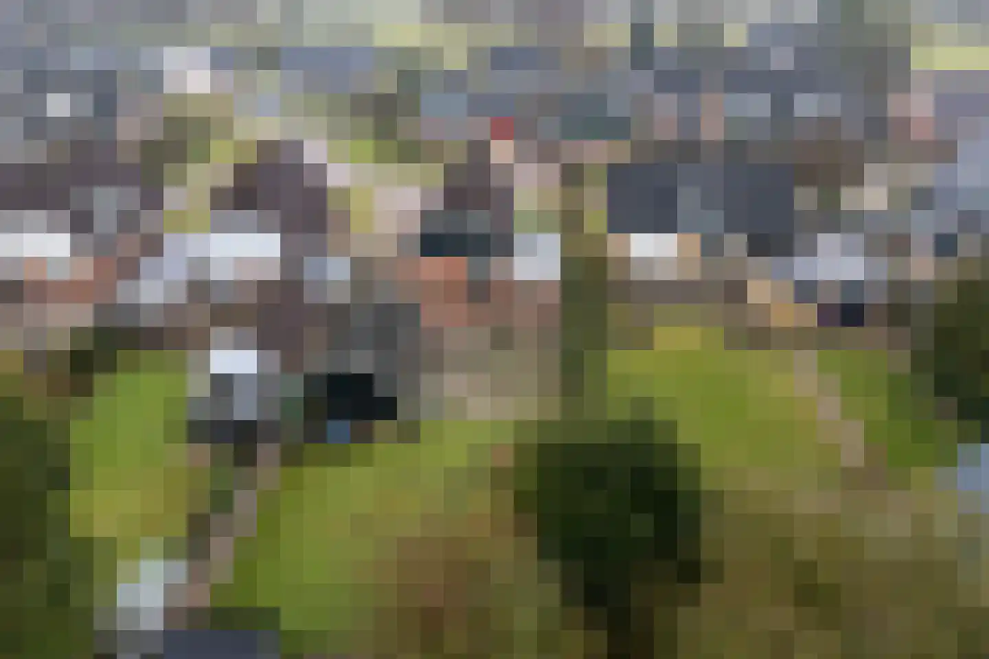 Pastorykamp 10 Drogeham thumbnail 29