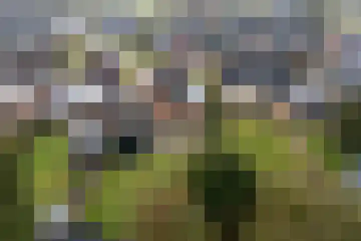 Pastorykamp 10 Drogeham thumbnail 29