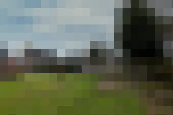 Pastorykamp 10 Drogeham thumbnail 36
