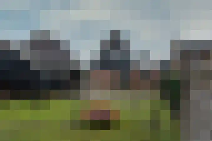 Pastorykamp 10 Drogeham thumbnail 38