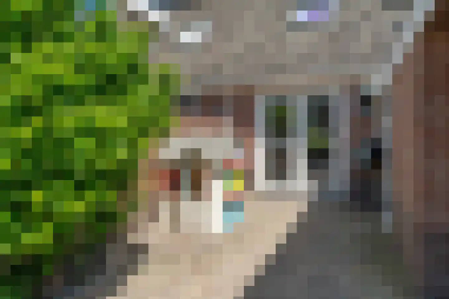 Pastorykamp 13 Drogeham thumbnail 30