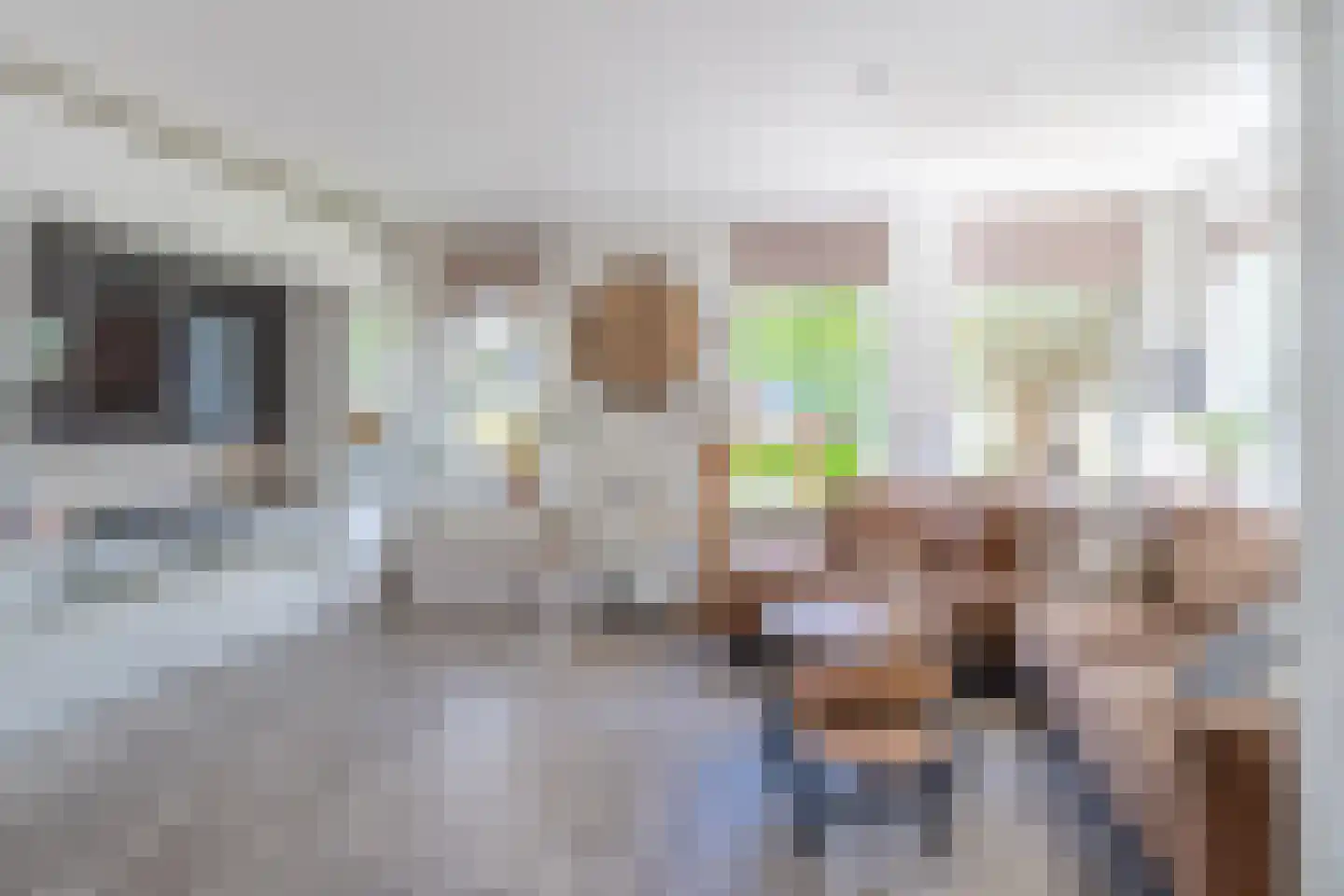 Pastorykamp 13 Drogeham thumbnail 8