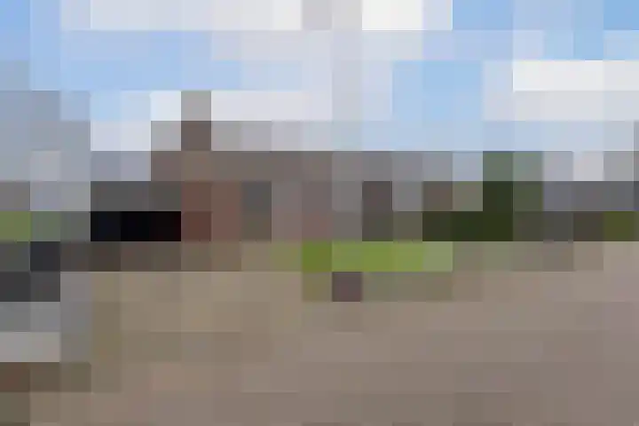 Pastoryleane 1 E Wjelsryp