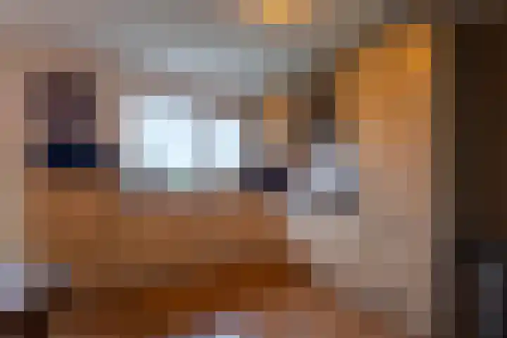 Pastoryleane 1 E Wjelsryp thumbnail 13