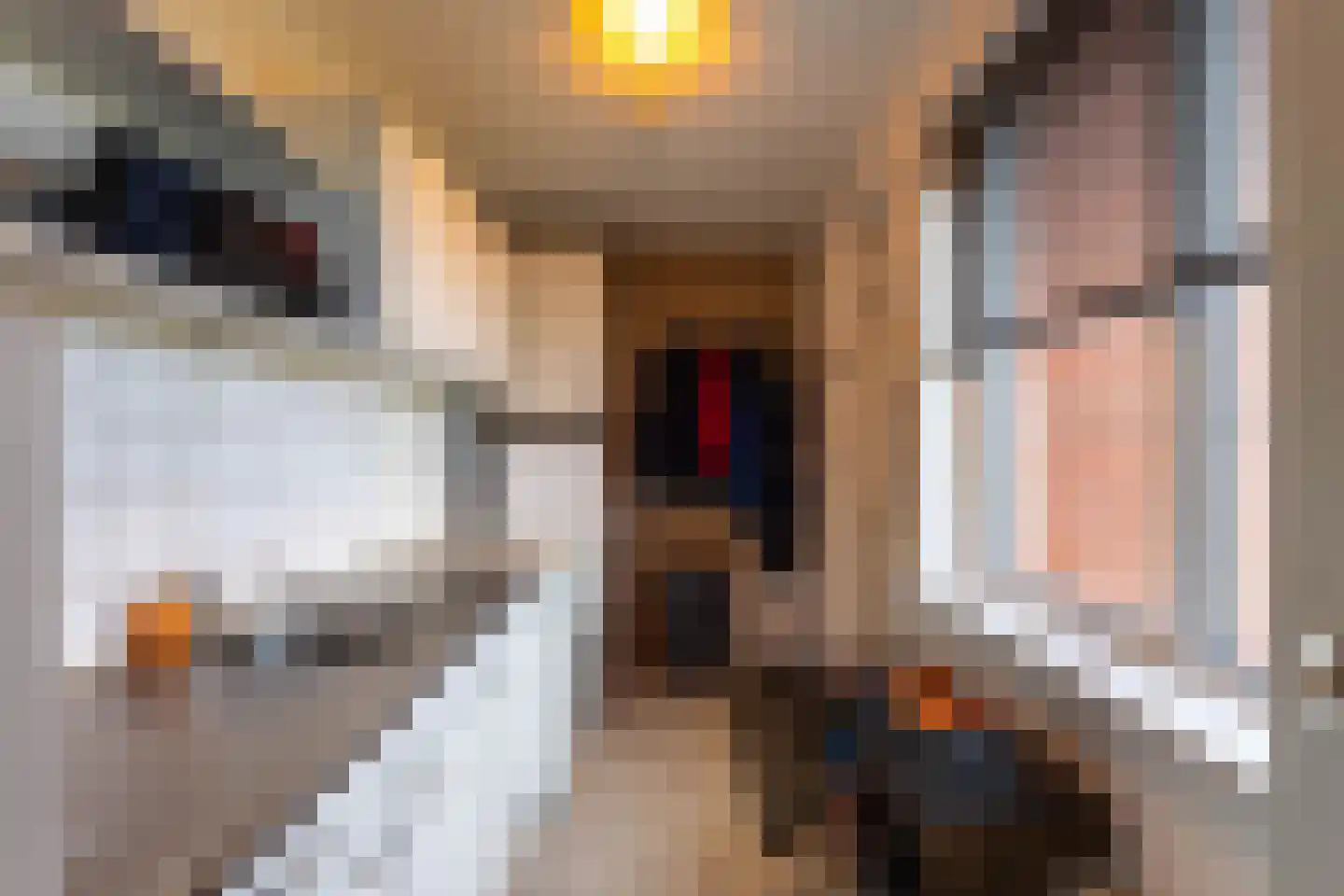 Pastoryleane 1 E Wjelsryp thumbnail 17