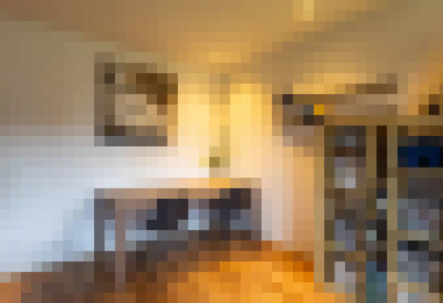Pastoryleane 1 E Wjelsryp thumbnail 22