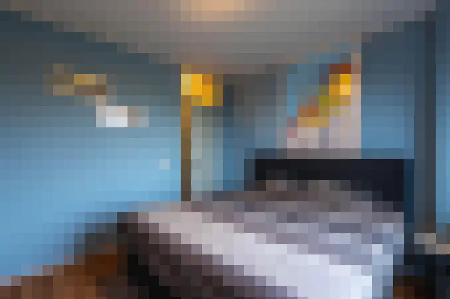 Pastoryleane 1 E Wjelsryp thumbnail 24