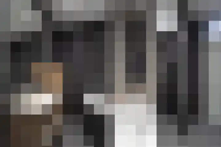Pastoryleane 1 E Wjelsryp thumbnail 25