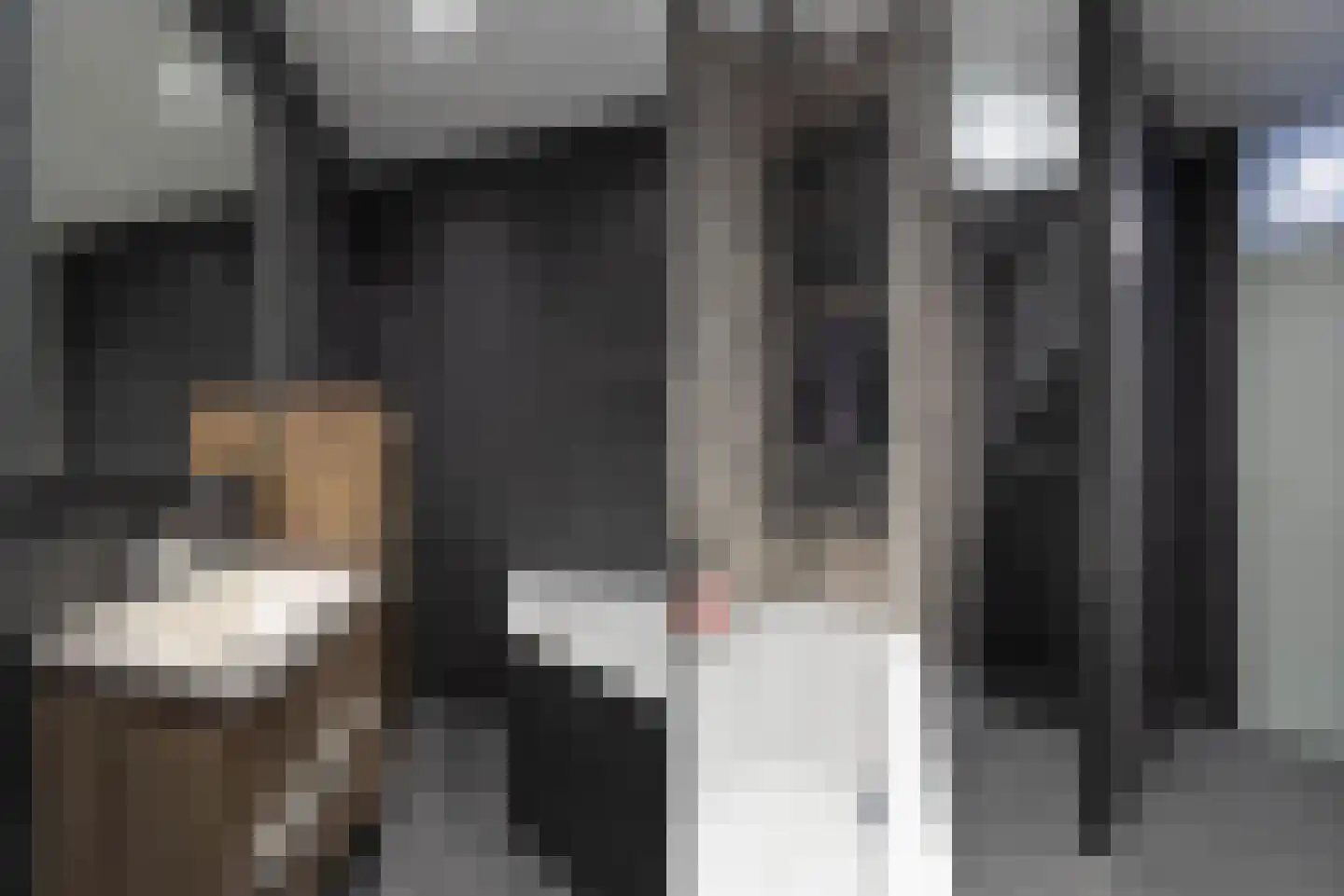 Pastoryleane 1 E Wjelsryp thumbnail 25