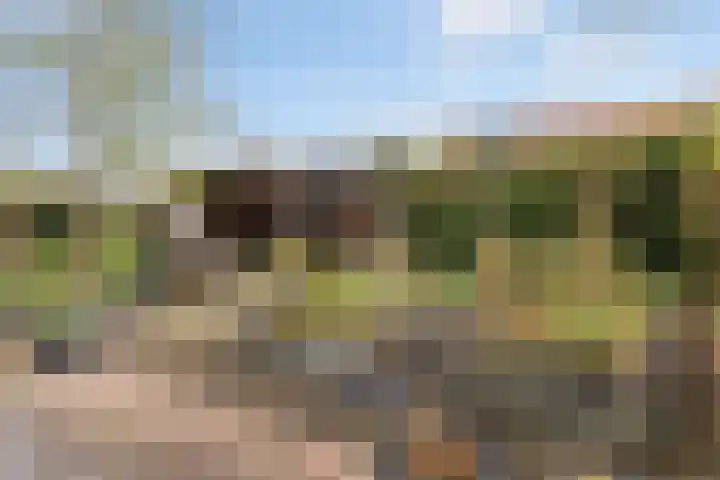 Pastoryleane 1 E Wjelsryp thumbnail 28