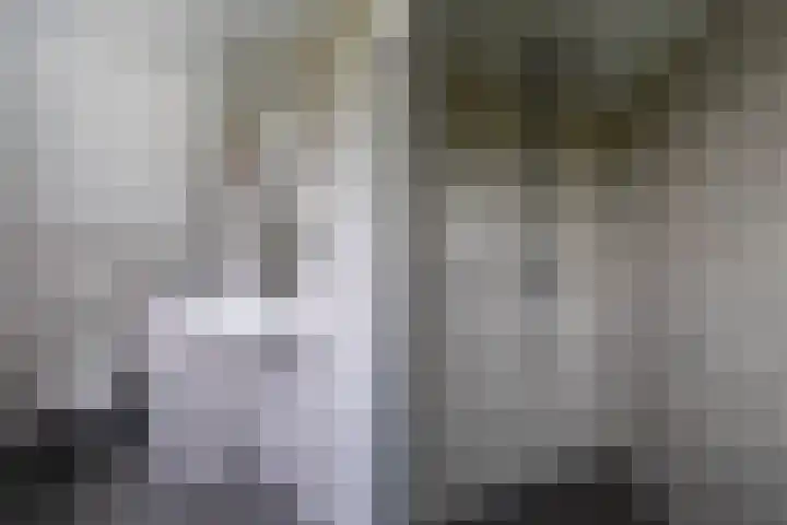 Pastoryleane 1 E Wjelsryp thumbnail 29