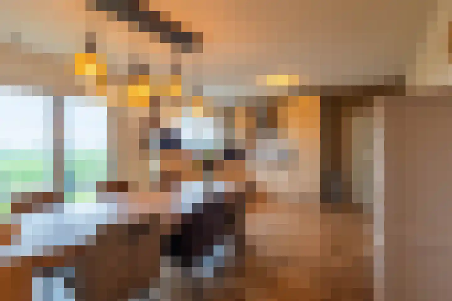 Pastoryleane 1 E Wjelsryp foto 3