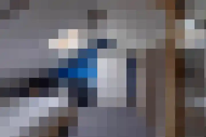 Pastoryleane 1 E Wjelsryp thumbnail 30