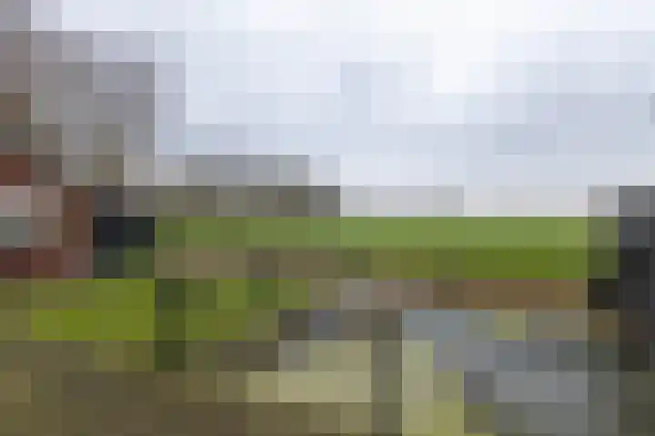 Pastoryleane 1 E Wjelsryp thumbnail 41