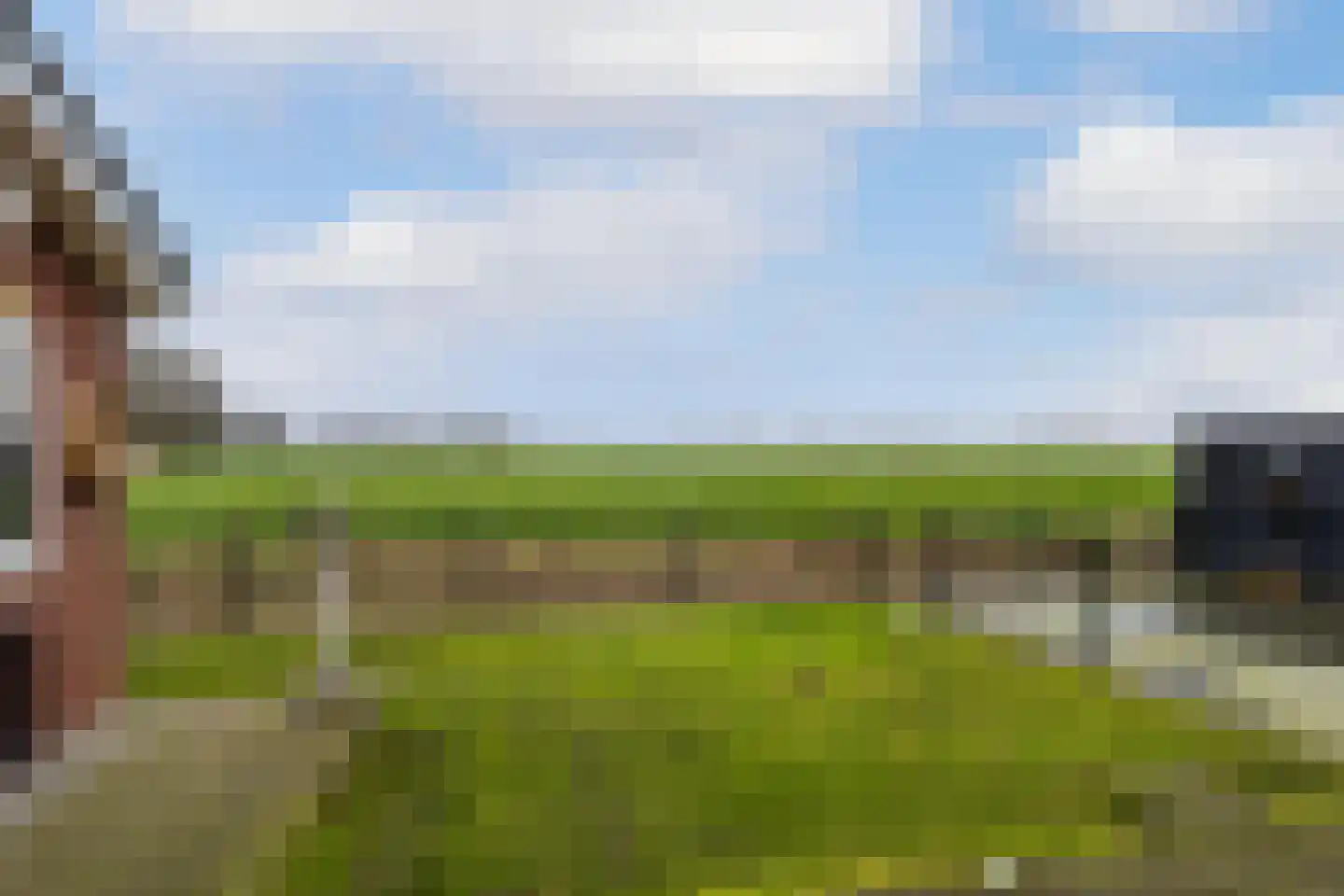 Pastoryleane 1 E Wjelsryp thumbnail 42