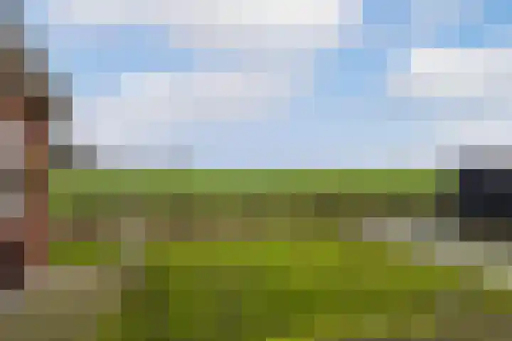 Pastoryleane 1 E Wjelsryp thumbnail 42