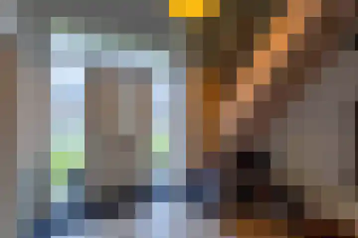 Pastoryleane 1 E Wjelsryp thumbnail 8