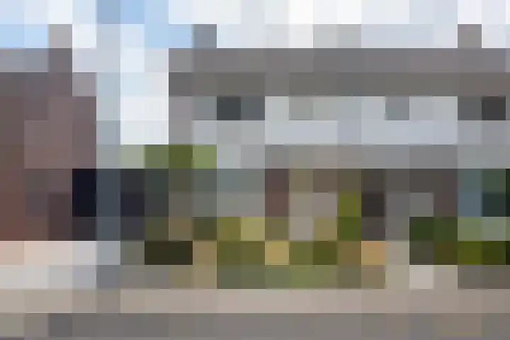 Pastpaedje 20 Meijel