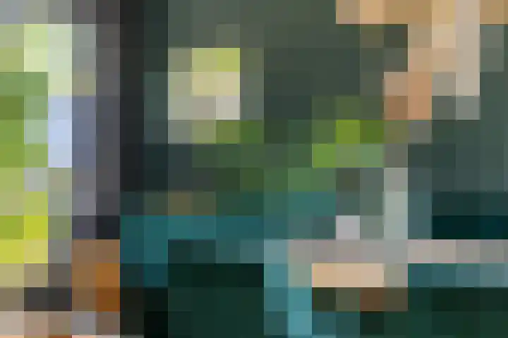 Pastpaedje 20 Meijel thumbnail 10