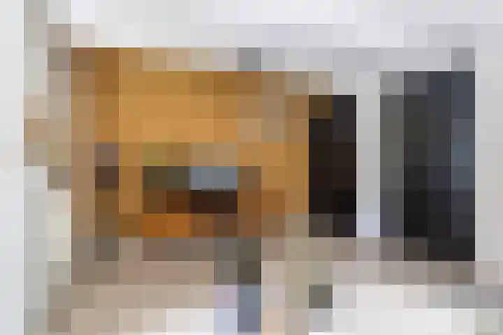 Pastpaedje 20 Meijel thumbnail 19