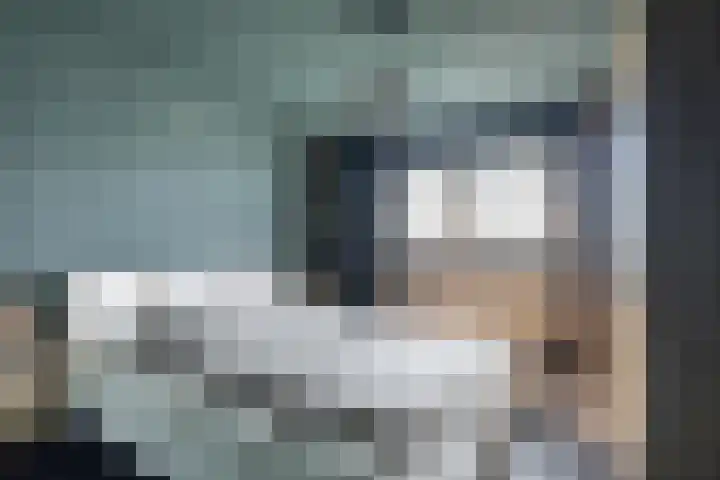 Pastpaedje 20 Meijel thumbnail 23