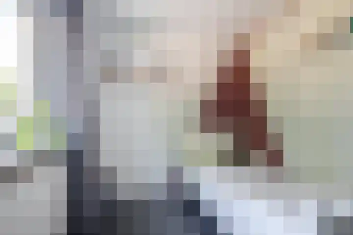 Pastpaedje 20 Meijel thumbnail 25