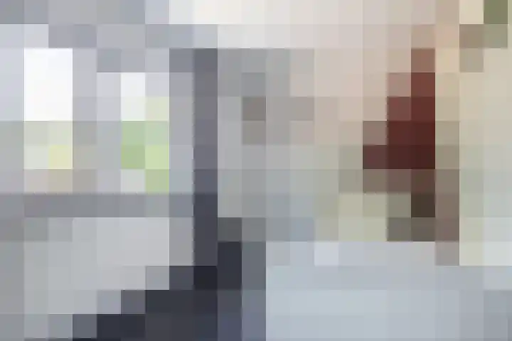 Pastpaedje 20 Meijel thumbnail 26