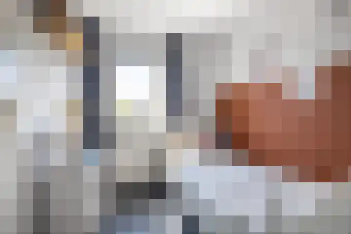Pastpaedje 20 Meijel thumbnail 28