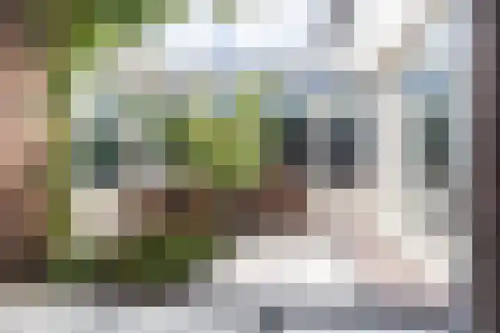 Pastpaedje 20 Meijel thumbnail 34